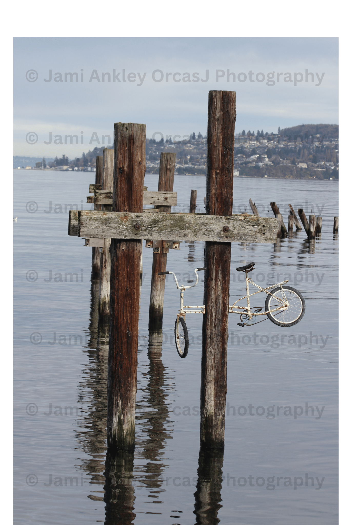 Tacoma Waterfront