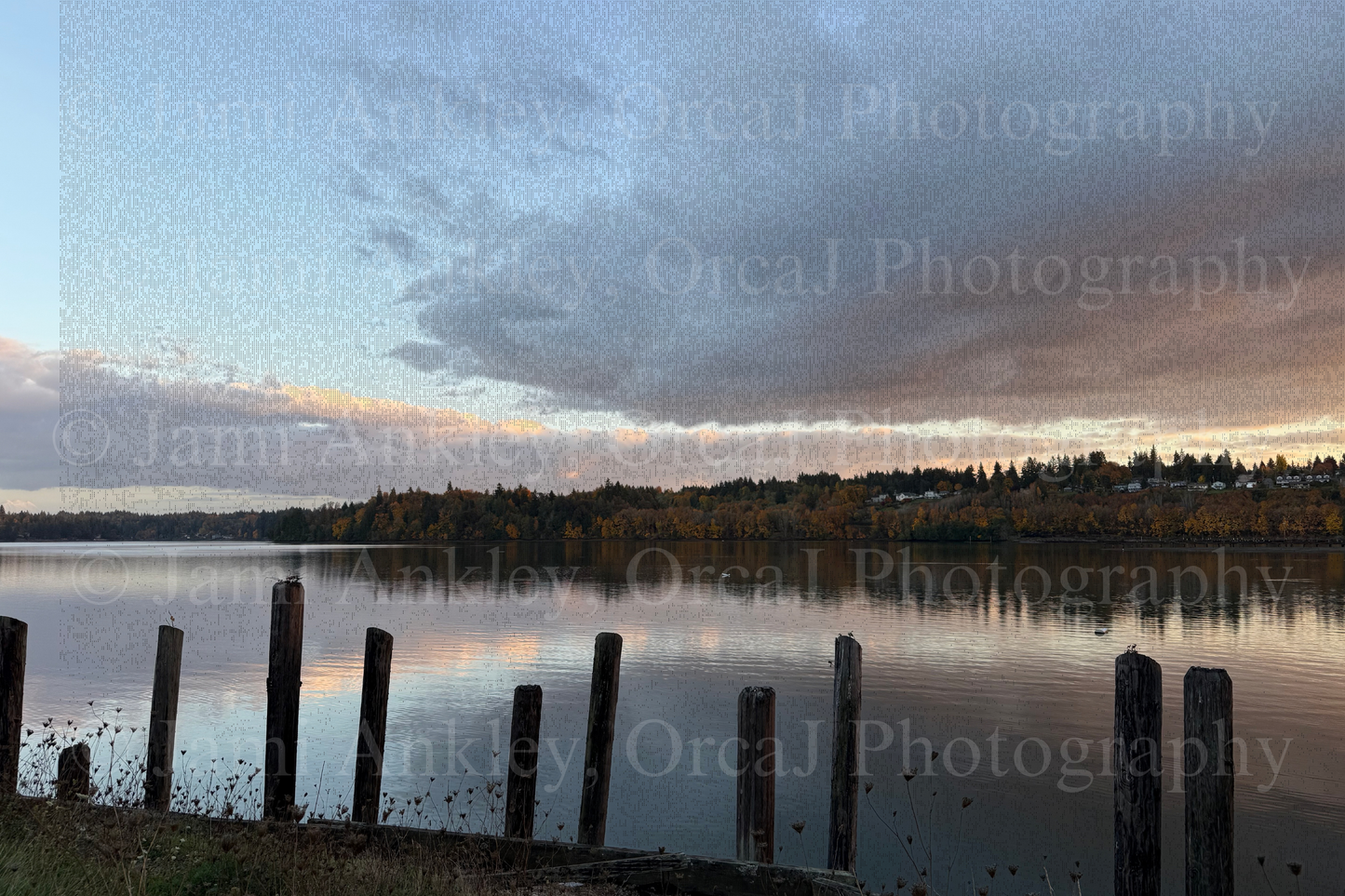 Oakland Bay- Shelton, WA