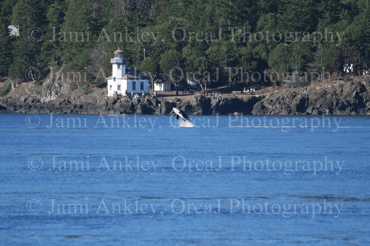 Breach at Lime Kiln Lighthouse