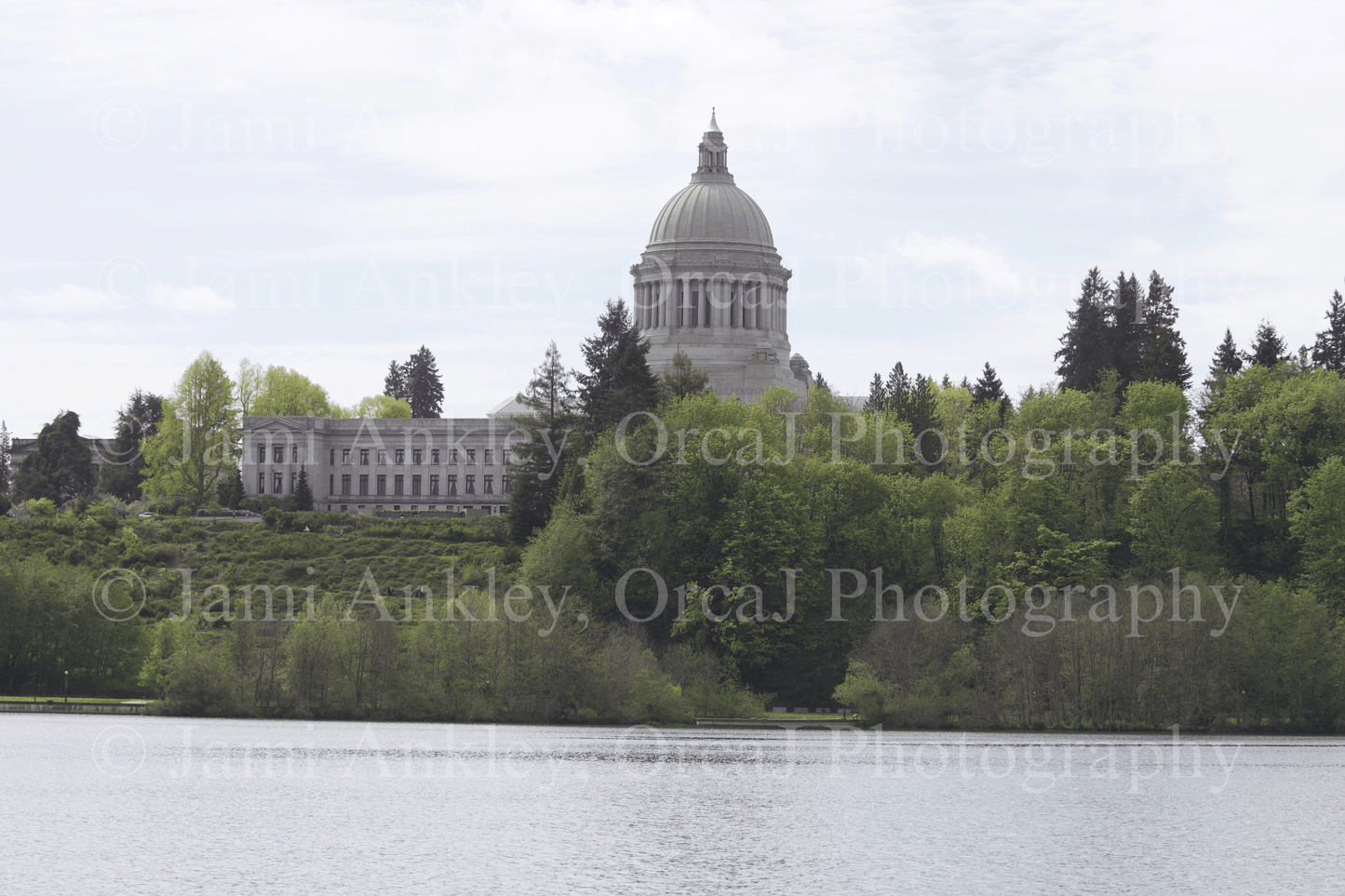 Washington State Capital