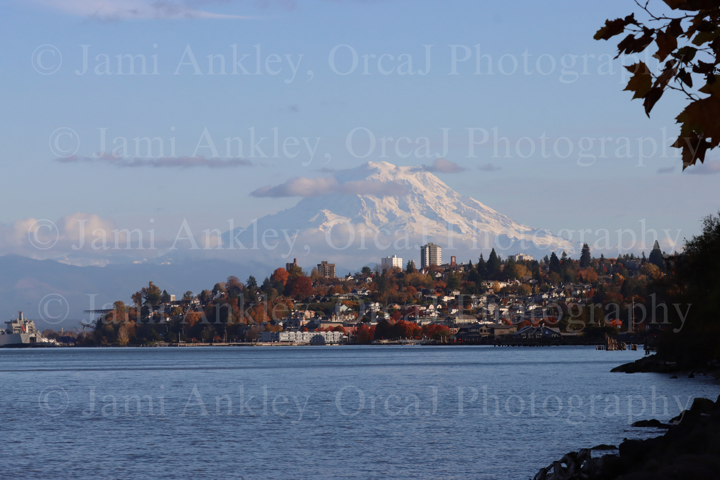 Mt. Rainer - Fall