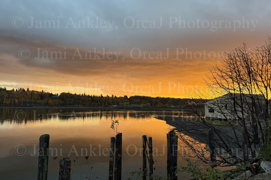 Oakland Bay Sunset - Shelton, WA